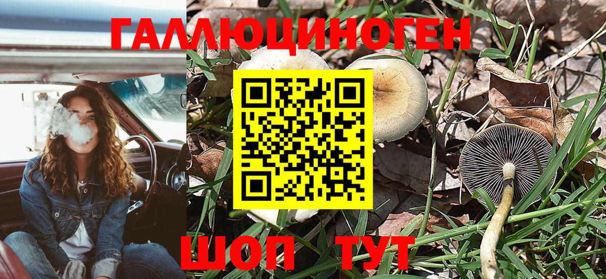 Псилоцибиновые грибы Magic Shrooms Скопин